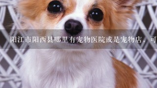 阳江市阳西县哪里有宠物医院或是宠物店，可以帮狗狗打疫苗的地方