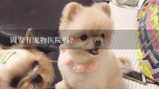 固安有宠物医院吗？