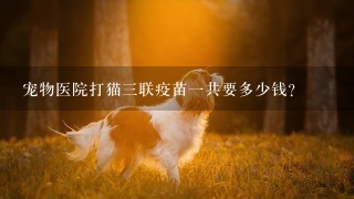 宠物医院打猫3联疫苗1共要多少钱？