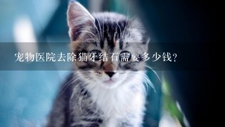 宠物医院去除猫牙结石需要多少钱?