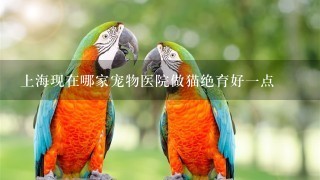 上海现在哪家宠物医院做猫绝育好1点