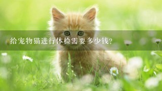 给宠物猫进行体检需要多少钱？