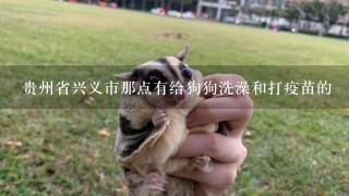 贵州省兴义市那点有给狗狗洗澡和打疫苗的