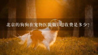 北京的狗狗在宠物医院做B超收费是多少?