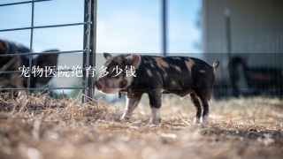 宠物医院绝育多少钱