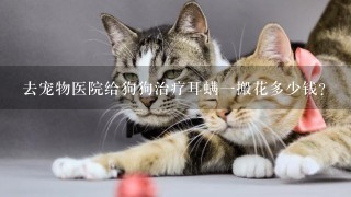 去宠物医院给狗狗治疗耳螨1搬花多少钱?