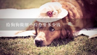 给狗狗做细小检查要多少钱