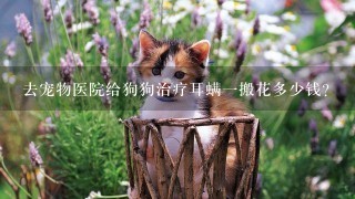 去宠物医院给狗狗治疗耳螨1搬花多少钱?