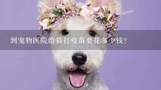 到宠物医院给猫打疫苗要花多少钱?