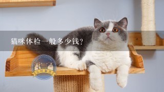 猫咪体检1般多少钱？