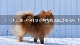 广州真正的24小时急诊的宠物医院是哪家呀!好多电话都没有人接？