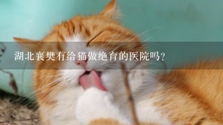 湖北襄樊有给猫做绝育的医院吗？