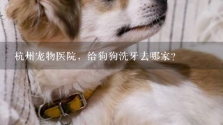 杭州宠物医院，给狗狗洗牙去哪家？