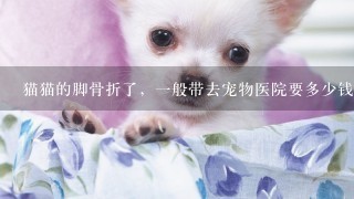 猫猫的脚骨折了，1般带去宠物医院要多少钱？