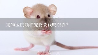 宠物医院领养宠物要钱吗东胜？