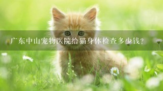 广东中山宠物医院给猫身体检查多少钱？