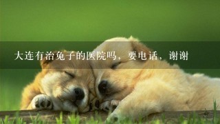 大连有治兔子的医院吗，要电话，谢谢