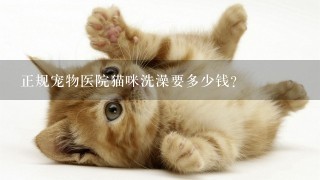 正规宠物医院猫咪洗澡要多少钱?