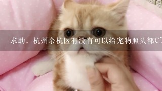 求助，杭州余杭区有没有可以给宠物照头部CT的医院？