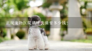 正规宠物医院猫咪洗澡要多少钱?