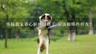 怀疑我家猫心脏出问题了 应该做哪些检查？