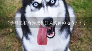 长沙哪里有给狗接种狂犬疫苗的地方？？？