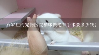 石家庄的宠物医院猫咪做绝育手术要多少钱？