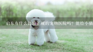 启东有什么比较正规的宠物医院吗？能给小猫绝育的那种？