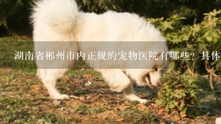 湖南省郴州市内正规的宠物医院有哪些？具体位置在哪？