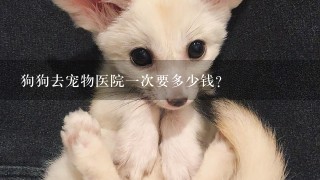 狗狗去宠物医院1次要多少钱？