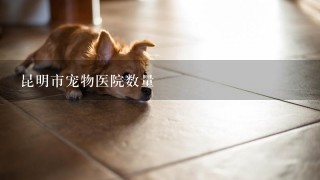 昆明市宠物医院数量