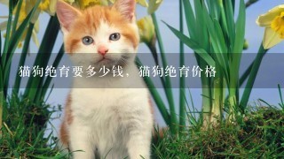 猫狗绝育要多少钱，猫狗绝育价格