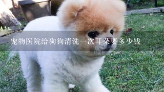 宠物医院给狗狗清洗1次耳朵要多少钱