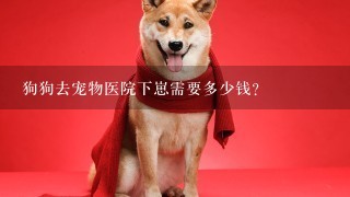 狗狗去宠物医院下崽需要多少钱？