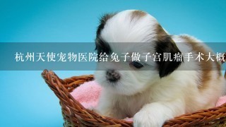 杭州天使宠物医院给兔子做子宫肌瘤手术大概要多少钱很急！！！