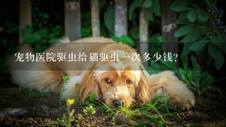 宠物医院驱虫给猫驱虫1次多少钱？