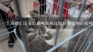 上海徐汇区有给猫咪看病比较好的宠物医院吗？