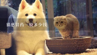 猫感冒药1般多少钱