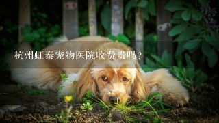 杭州虹泰宠物医院收费贵吗？