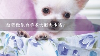 给猫做绝育手术大概多少钱?