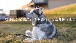 成都给公猫做绝育多少钱啊？在太升桥附近有没有宠物医院？