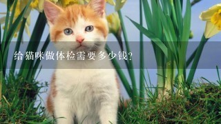 给猫咪做体检需要多少钱？