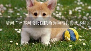 请问广州哪间宠物医院给狗狗结扎的技术好?