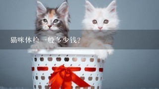 猫咪体检1般多少钱？