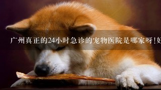 广州真正的24小时急诊的宠物医院是哪家呀!好多电话都没有人接？