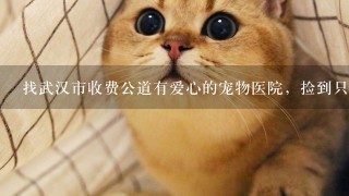 找武汉市收费公道有爱心的宠物医院，捡到只流浪猫，骨折了，急需看病。谢谢大家！