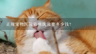 正规宠物医院猫咪洗澡要多少钱?