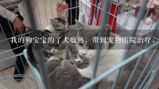 我的狗宝宝的了犬瘟热，带到宠物医院治疗，打1个吊针要差不多200元，真的有那么贵吗?