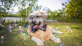 给狗狗体检需要多少钱