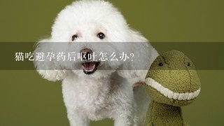 猫吃避孕药后呕吐怎么办？